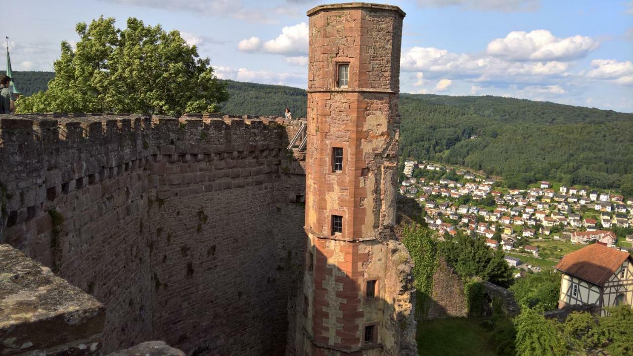 Historisches Ferienhaus Veste Dilsberg Неккарґемюнд Екстер'єр фото